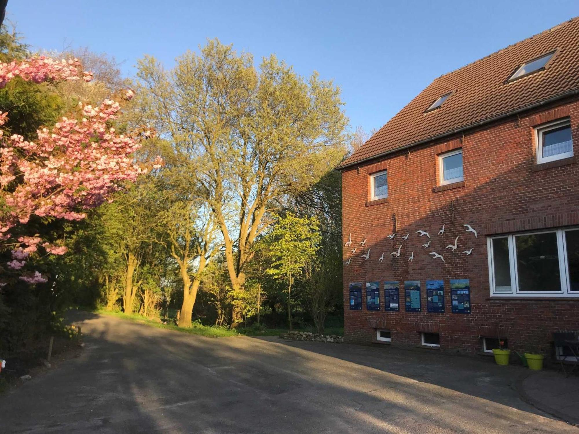 Gulfhof Friedrichsgroden Carolinensiel Exterior foto