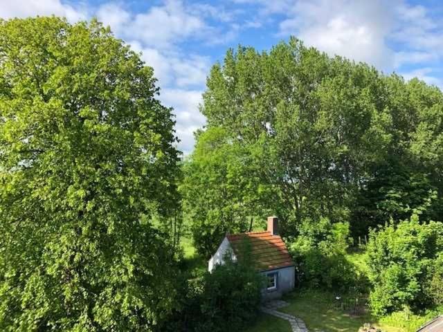 Gulfhof Friedrichsgroden Carolinensiel Exterior foto